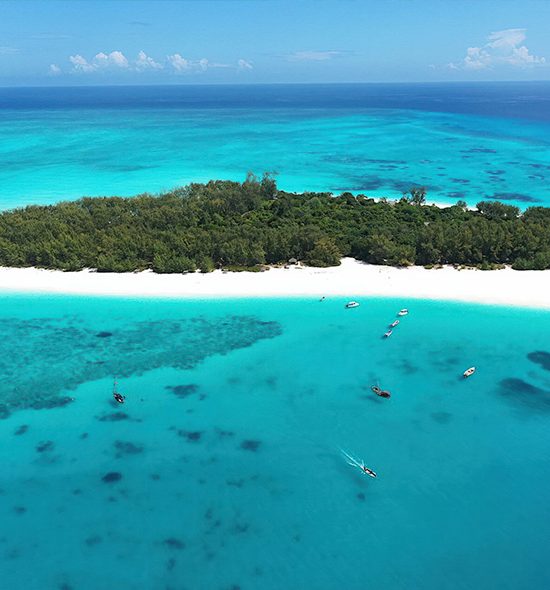Private Mnemba Island Tour with Dolphin Watch