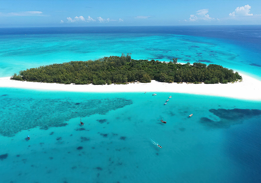 Private Mnemba Island Tour with Dolphin Watch