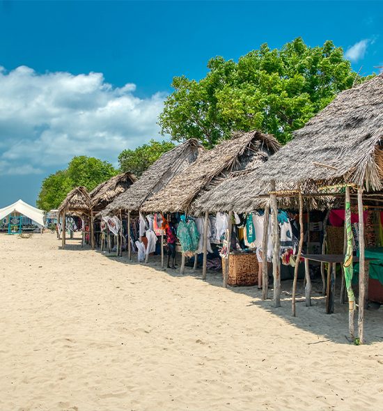 Private Safari Blue Tour, snorkeling with sea food lunch