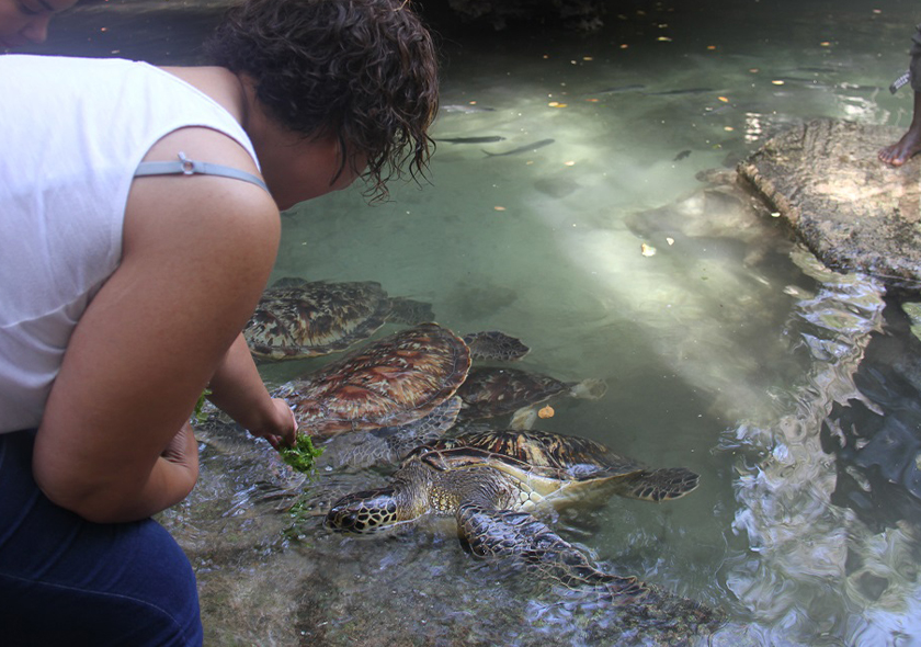 Private full-day trip to Mnemba Tours and Baraka Aquarium in Nungwi