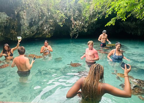 Private full-day trip to Jozani Forest and Salamu Aquarium